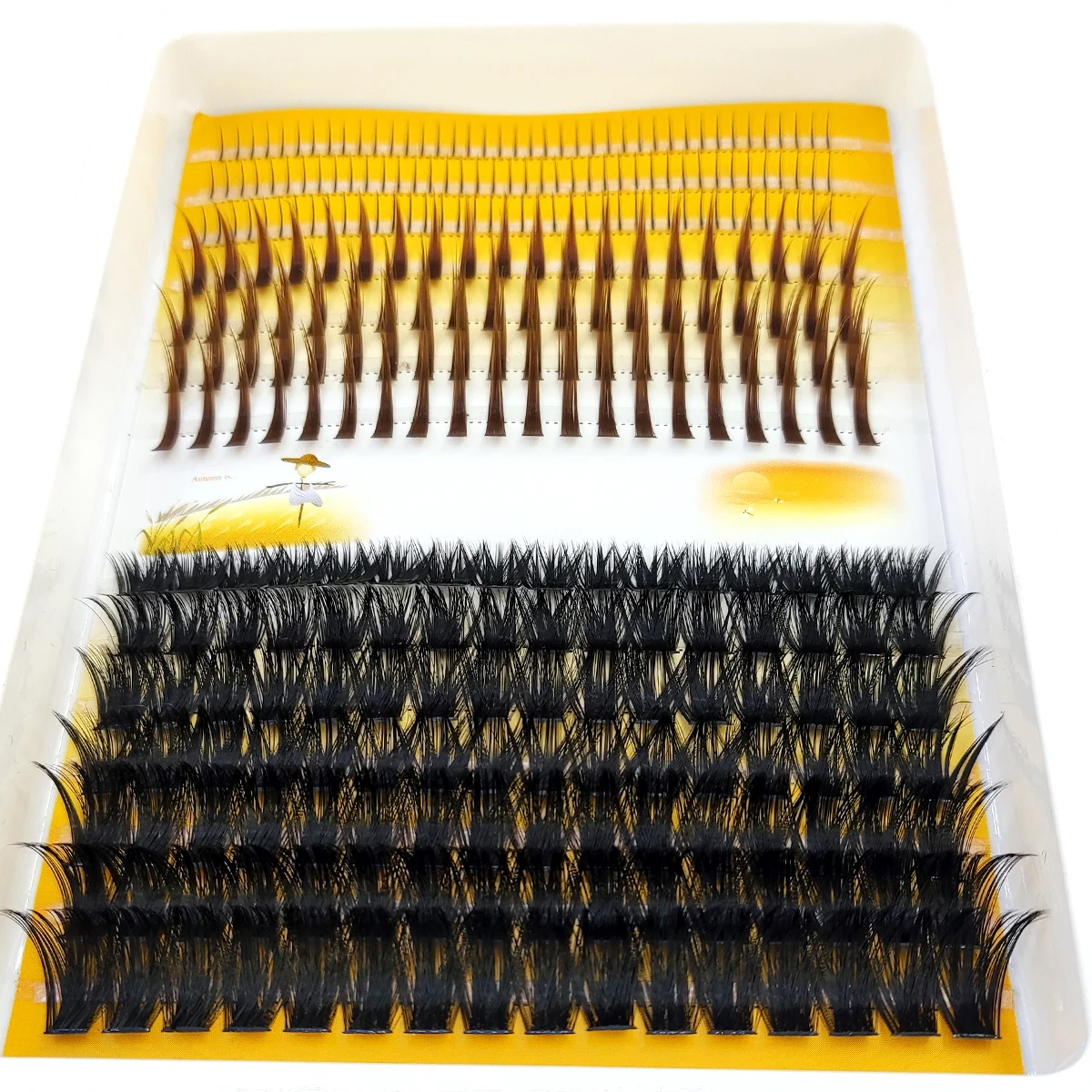 Eyelash Extension Doll Eye - AMSDCN 60D-120D Ciglia a ciuffetti 3D