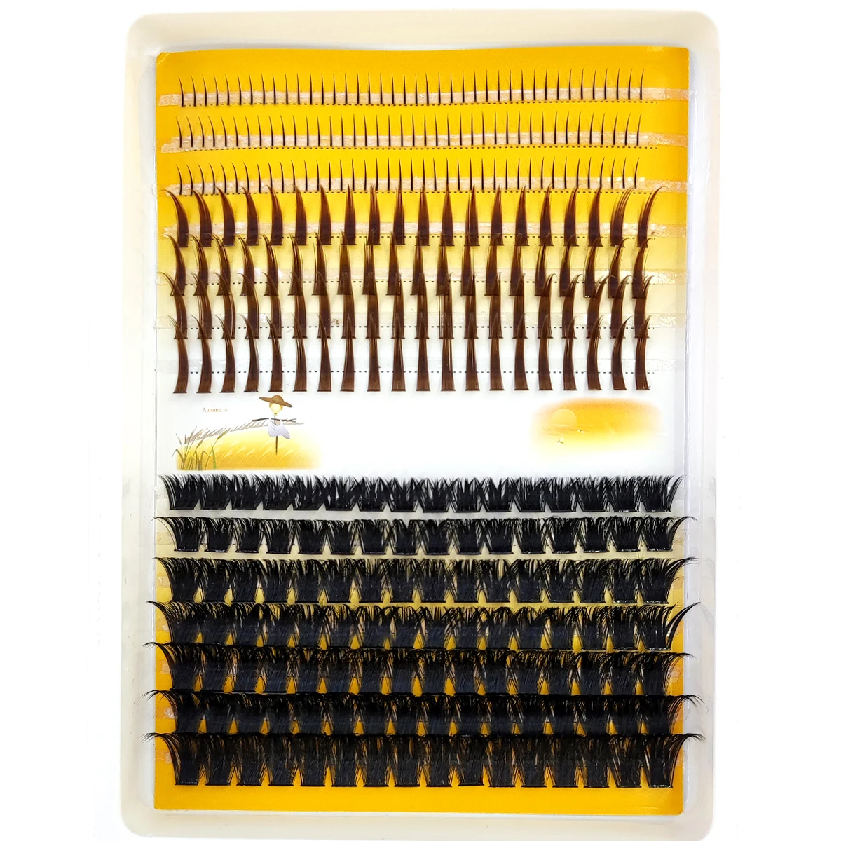 AMSDCN 60D-120D Ciglia a ciuff - Eyelash Extension Doll Eye recensione e prezzo